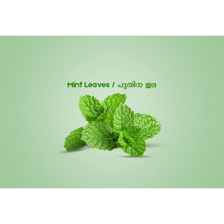 Mint Leaves / പുതിന ഇല - 50gm